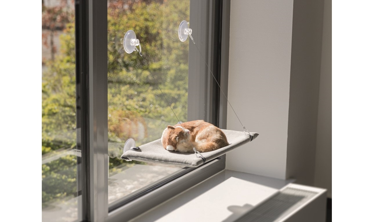 En katt som ligger och myser i sin kattsäng monterad på ett fönster.