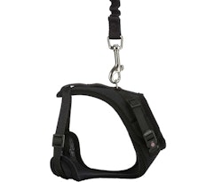 Y-sele med elastiskt koppel - 39-60 cm/10 mm - 1.00 m
