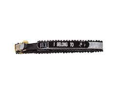 Halsband med reflex, adressflik, bjällra och texten "I Belong To"