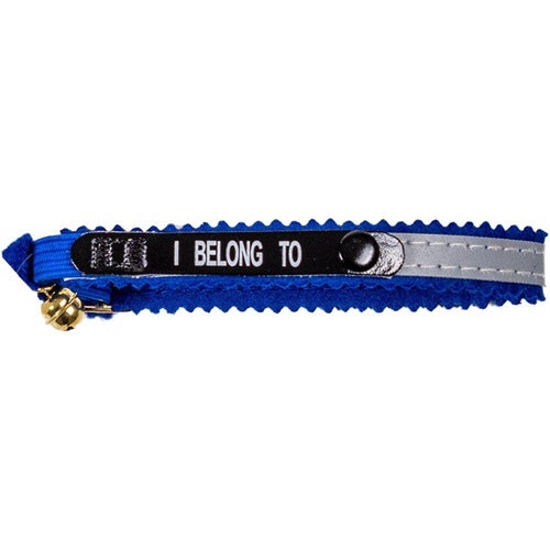 Ett blått katthalsband med texten "I belong to".
