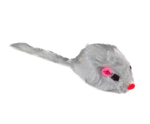 En grå pälsmus med kattmynta.