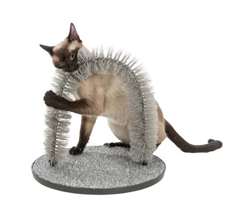 En katt som gosar med en massage- och pälsbåge.