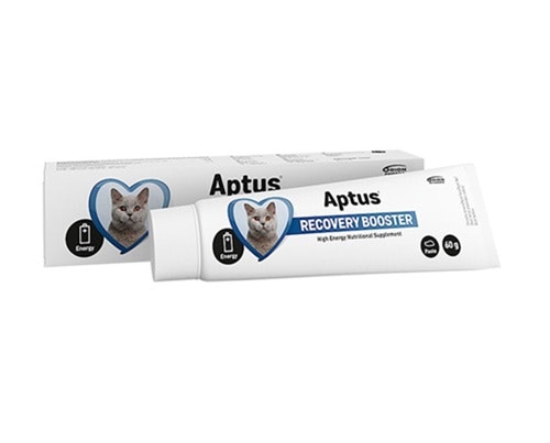 Framsidan av Aptus Recovery Booster för katter.