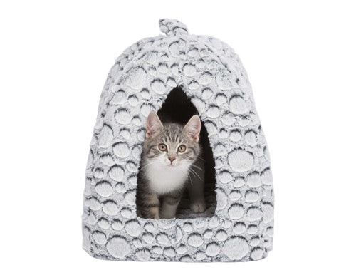 Kattigloon Mila med en söt liten katt som tittar ut genom öppningen.