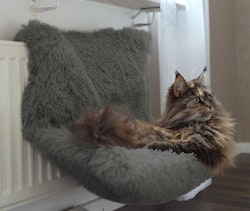 Elementsäng Shaggy Grå M 45cm