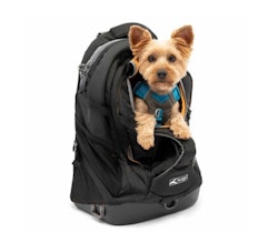 Kurgo G-train K9 Pack Black