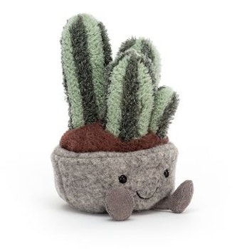 Mjukis Succulent Cactus
