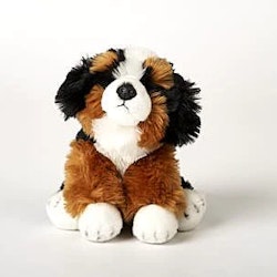 Hund Berner Strl M 30cm