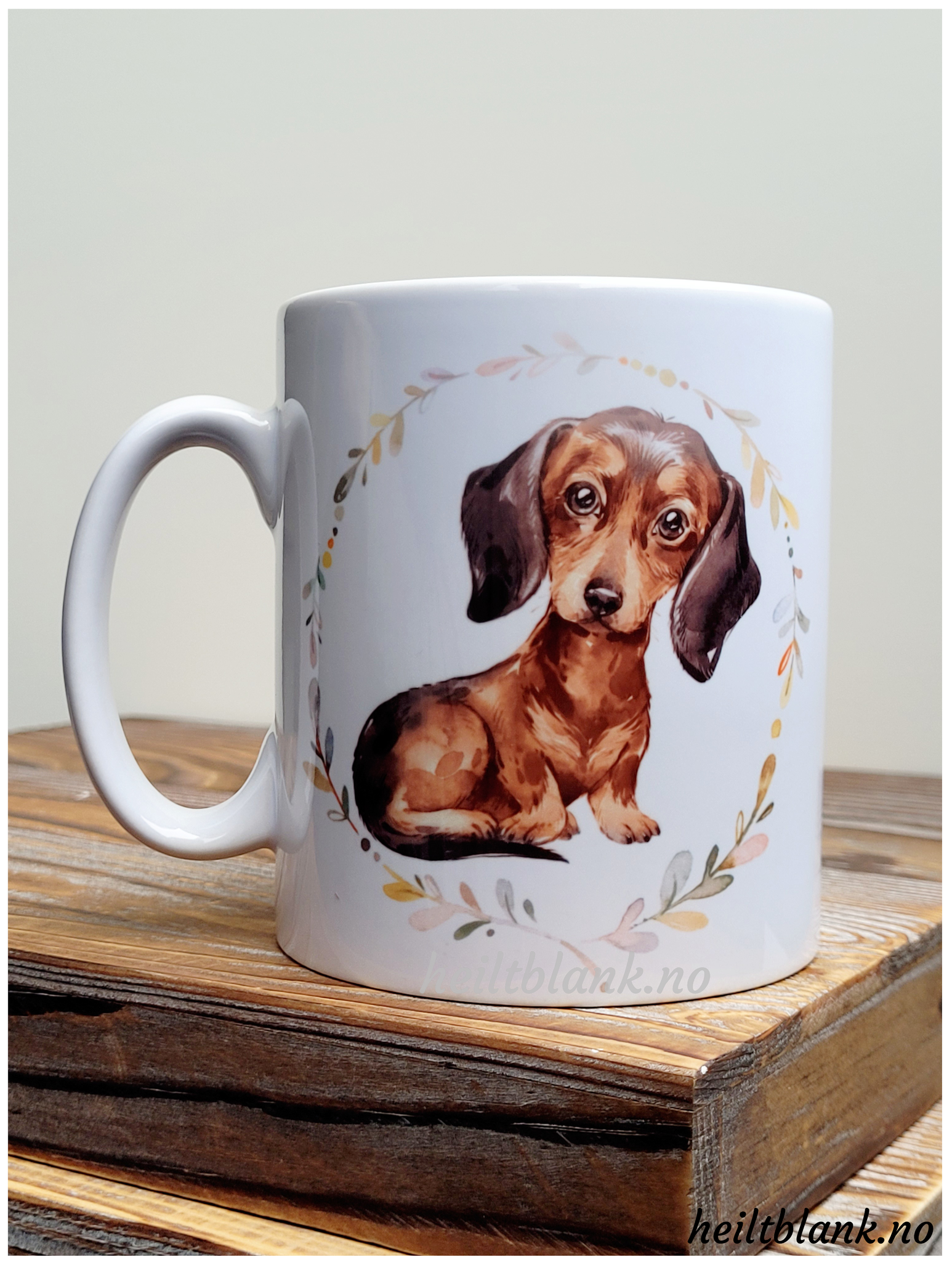 Kopp - Korthåret dachshund - Brun og tan