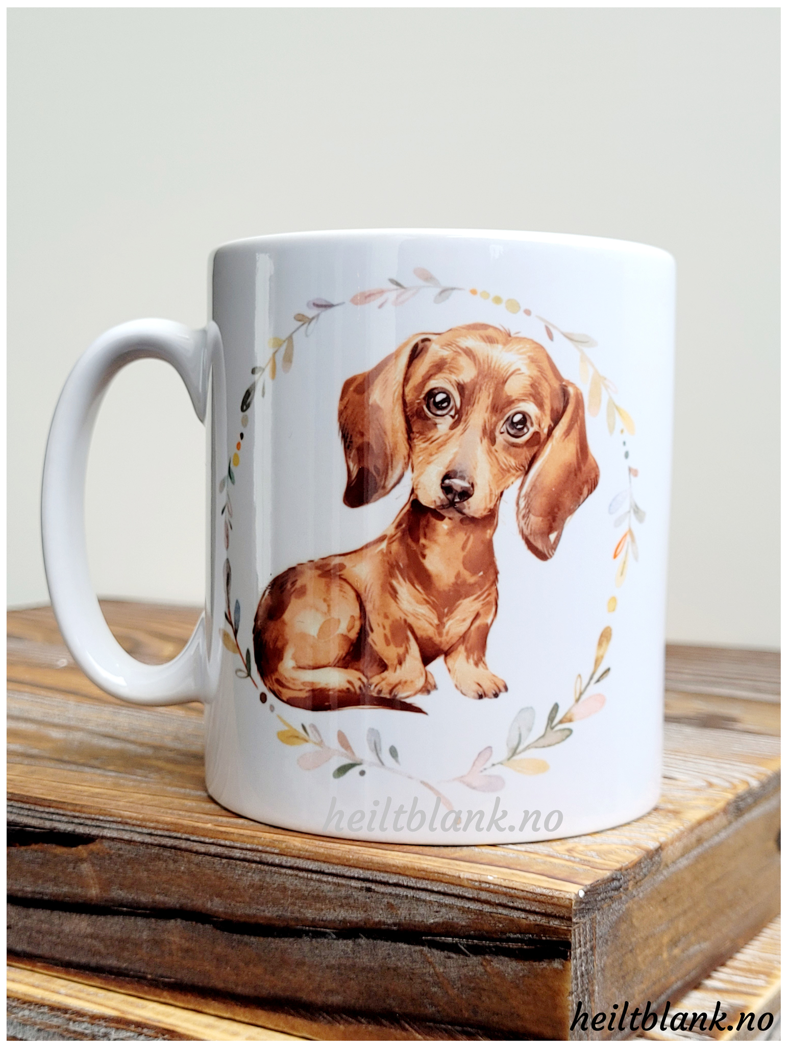 Kopp - Korthåret dachshund - Rød