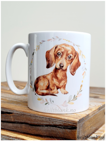 Kopp - Korthåret dachshund - Rød
