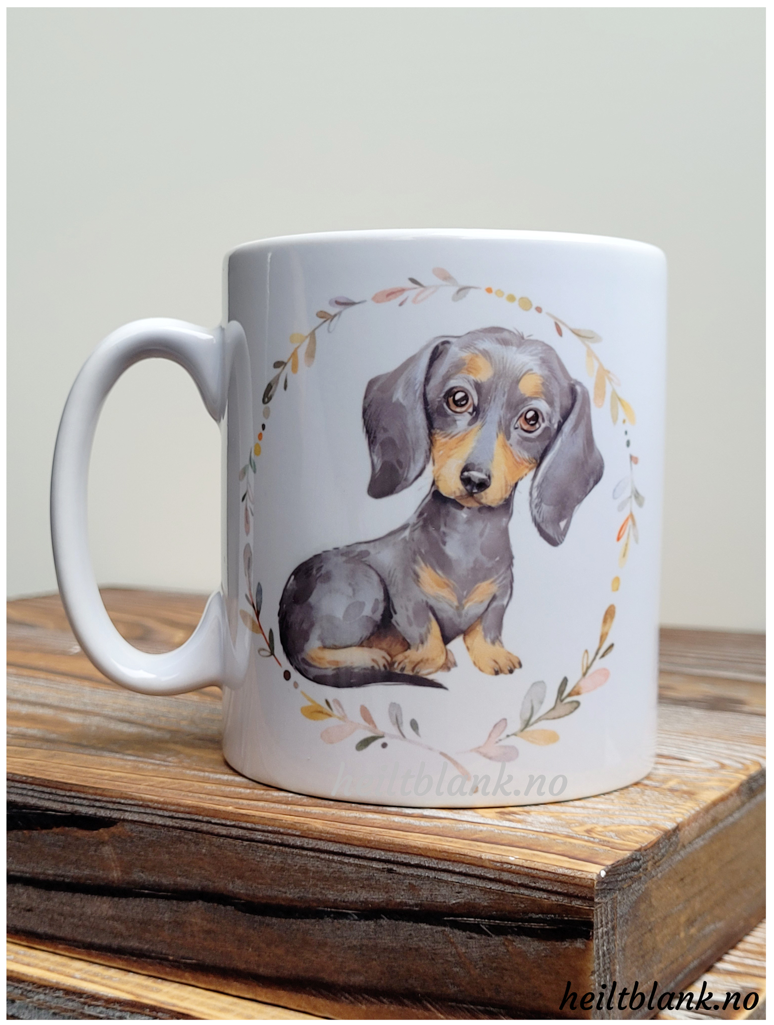 Kopp - Korthåret dachshund - lys sort og tan