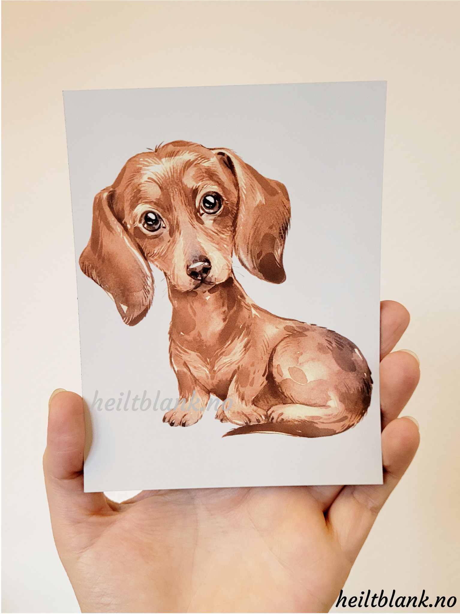 Magnet - Rød Dachshund