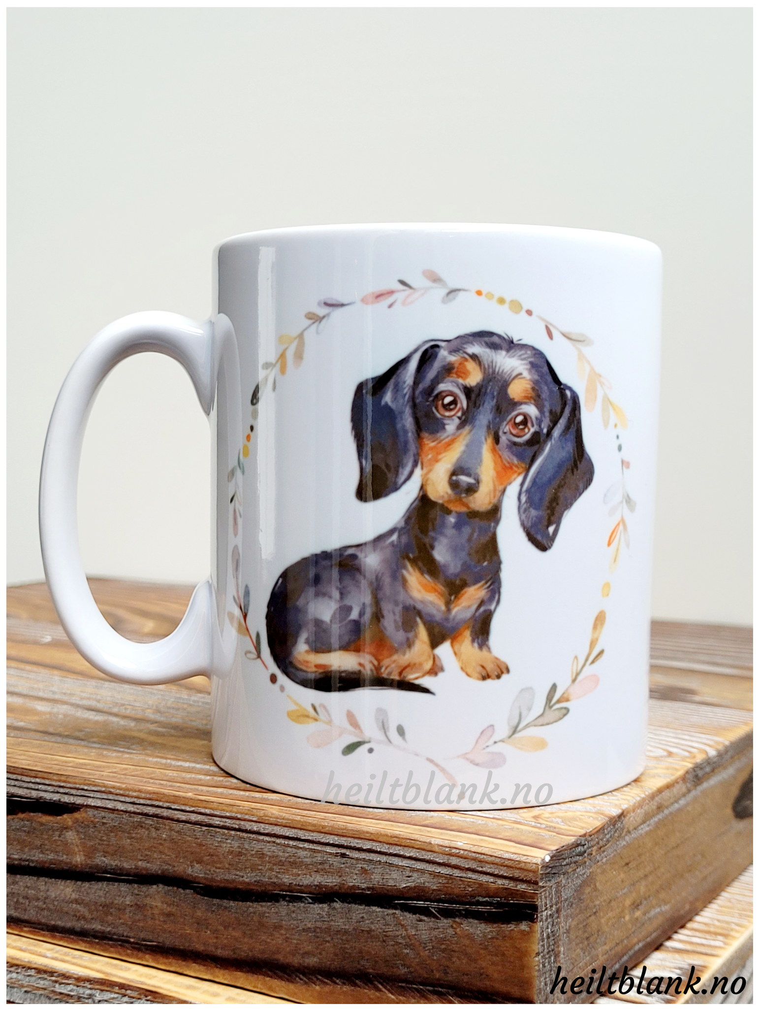 Kopp - Korthåret dachshund - Sort og tan