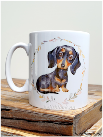 Kopp - Korthåret dachshund - Sort og tan