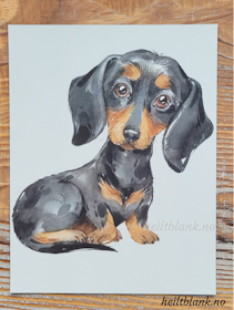Magnet - Sort og tan dachshund
