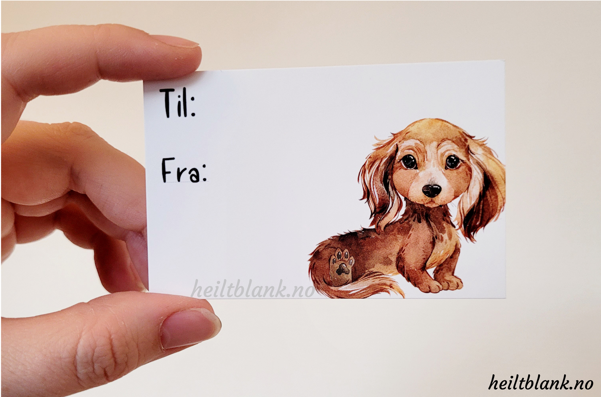 Til og fra kort 10stk - Langhåret dachshund - rød