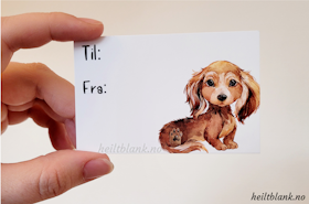 Til og fra kort 10stk - Langhåret dachshund - rød