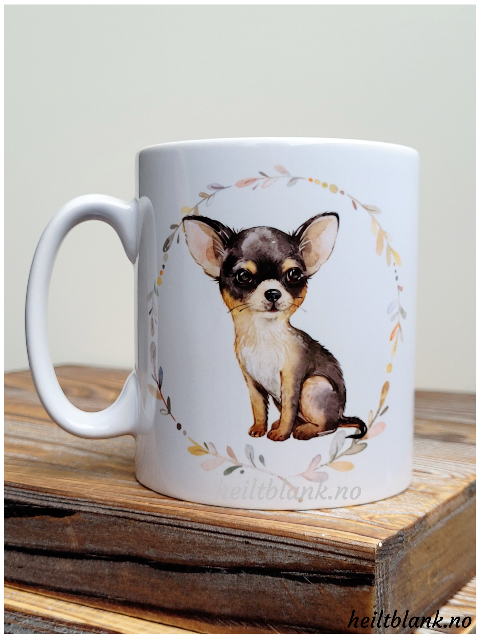 Kopp - Chihuahua - Tricolor