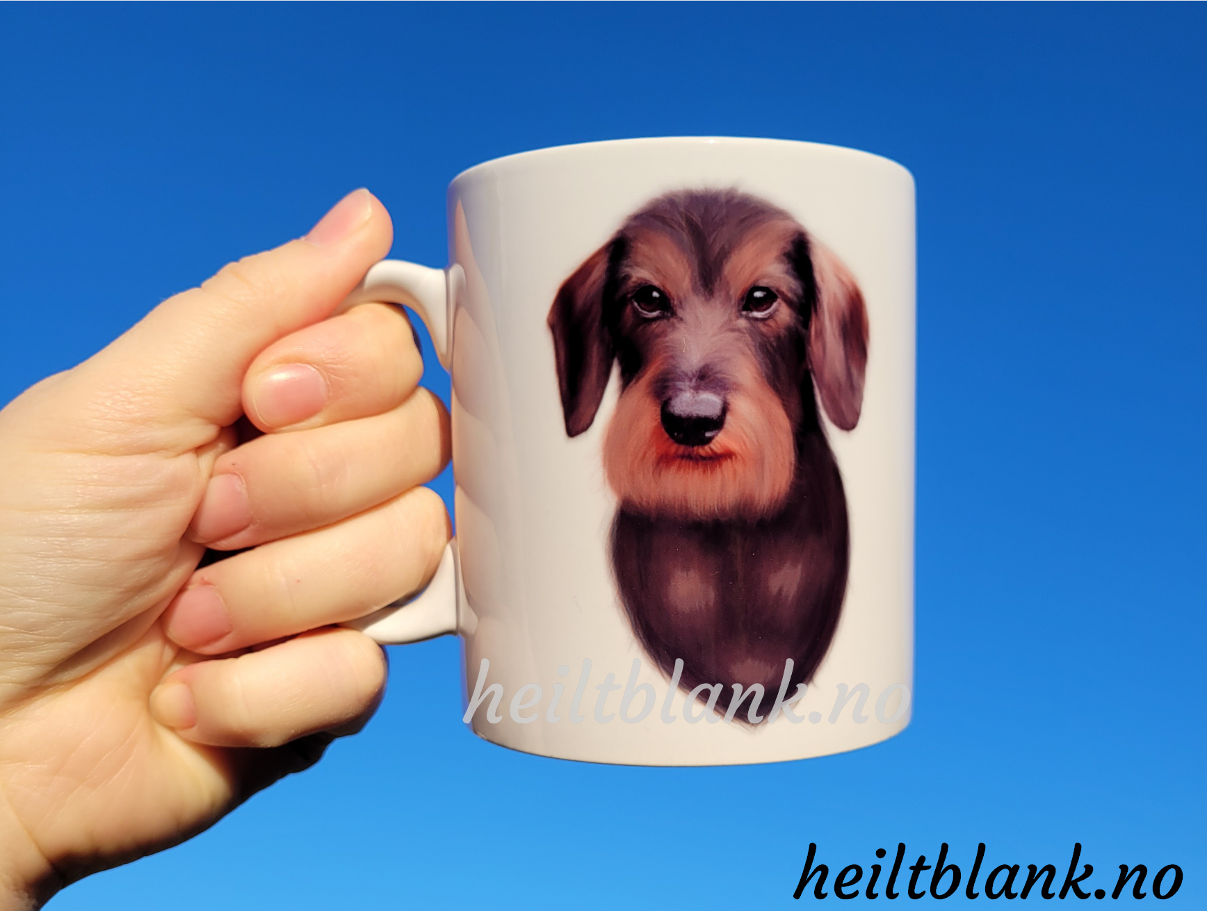 Kopp - Strihåret dachshund