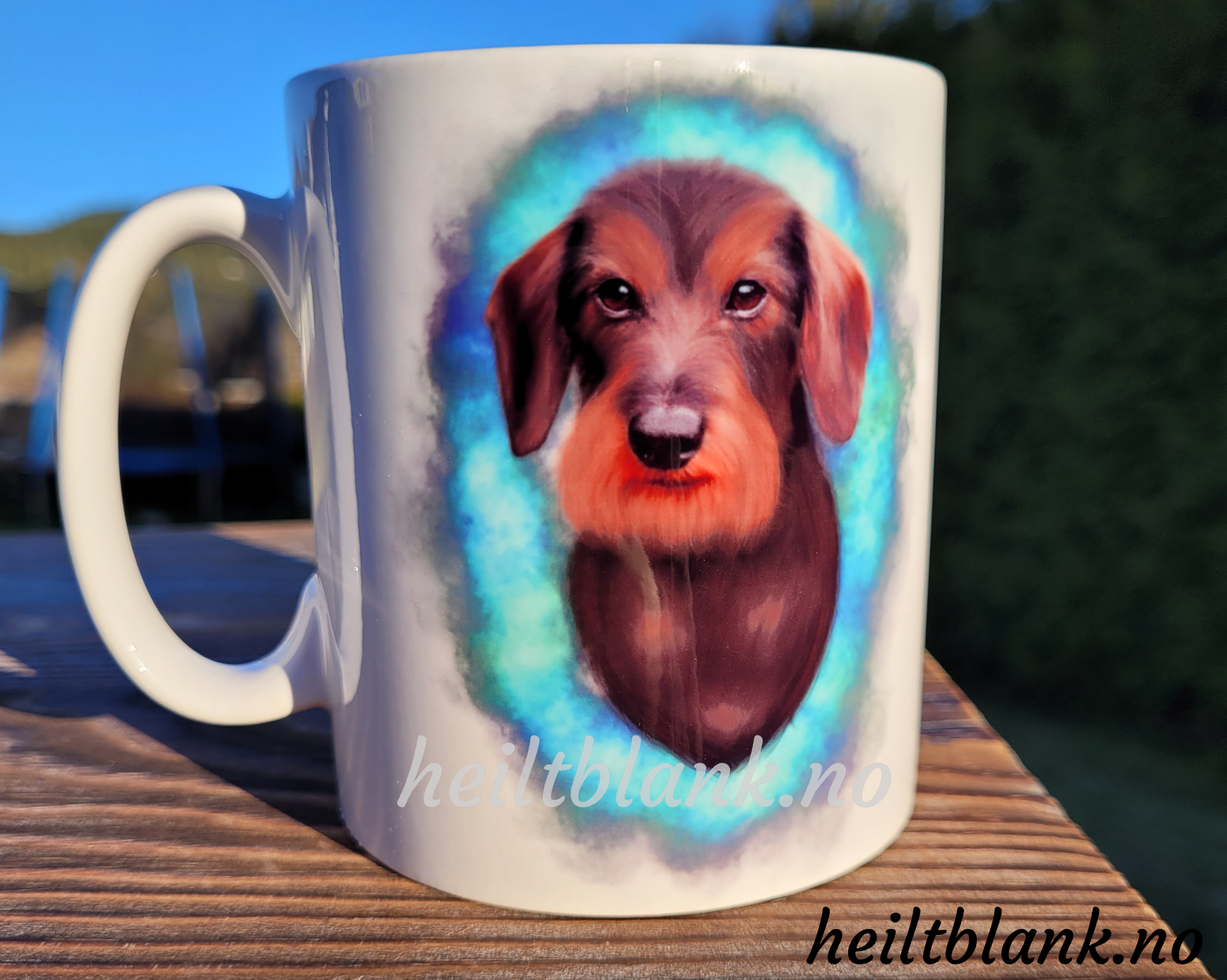 Kopp - Strihåret dachshund - med bakgrunn