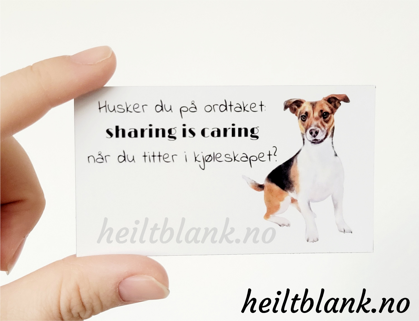 Magnet m/ tekst - Sharing is caring - Jack Russell Terrier