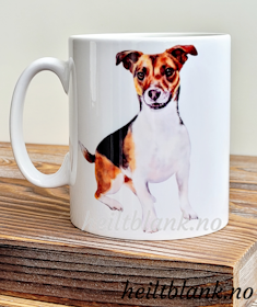 Kopp - Jack Russell Terrier