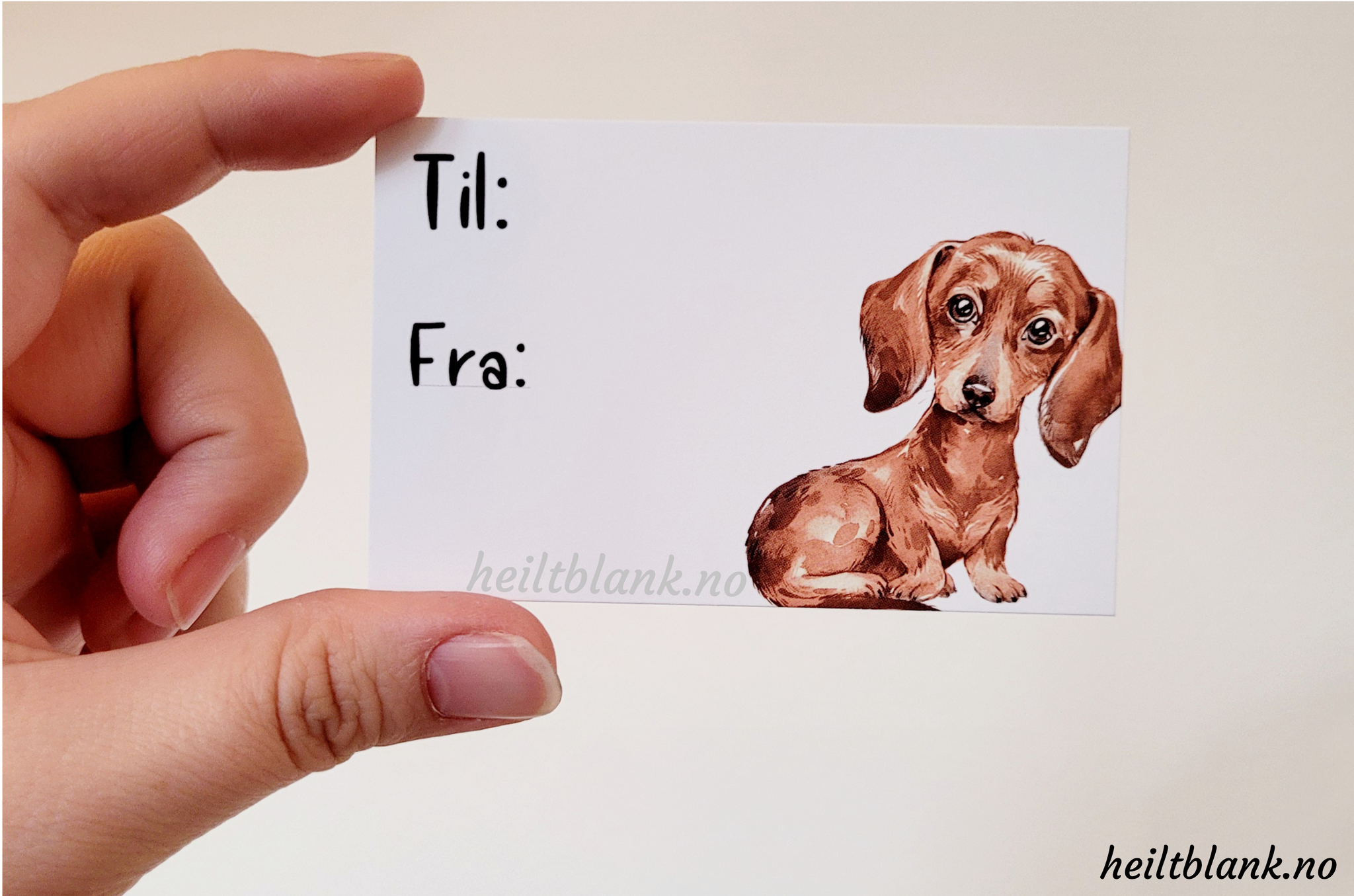 Til og fra kort 10stk - Korthåret dachshund - rød