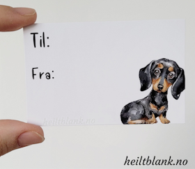 Til og fra kort 10stk - Korthåret dachshund - sort og tan