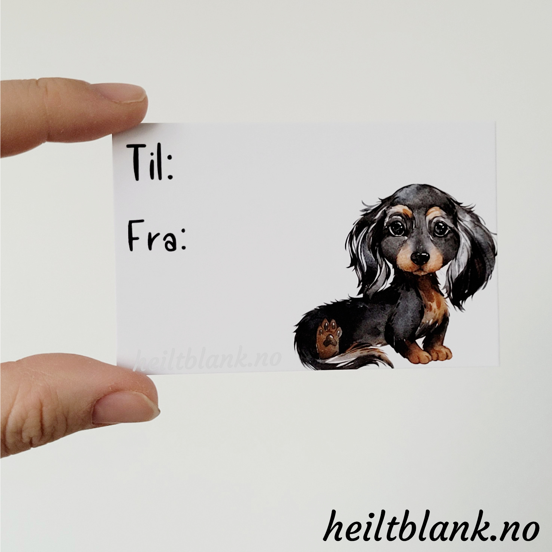 Til og fra kort 10stk - Langhåret dachshund - sort og tan
