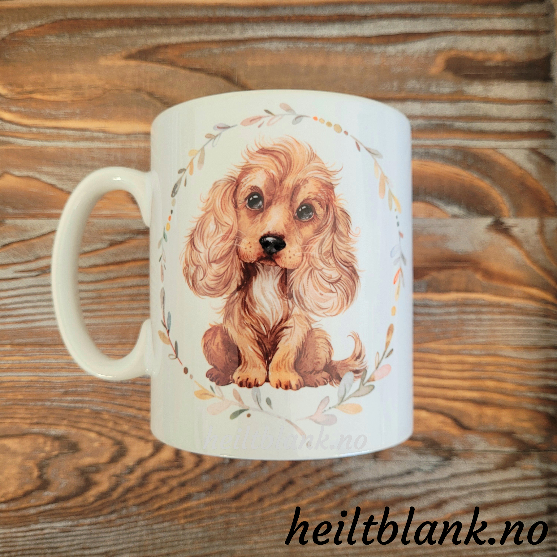 Kopp - Cocker spaniel