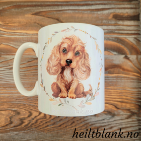Kopp - Cocker spaniel