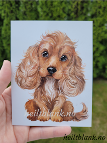 Cocker Spaniel Rød - Magnet