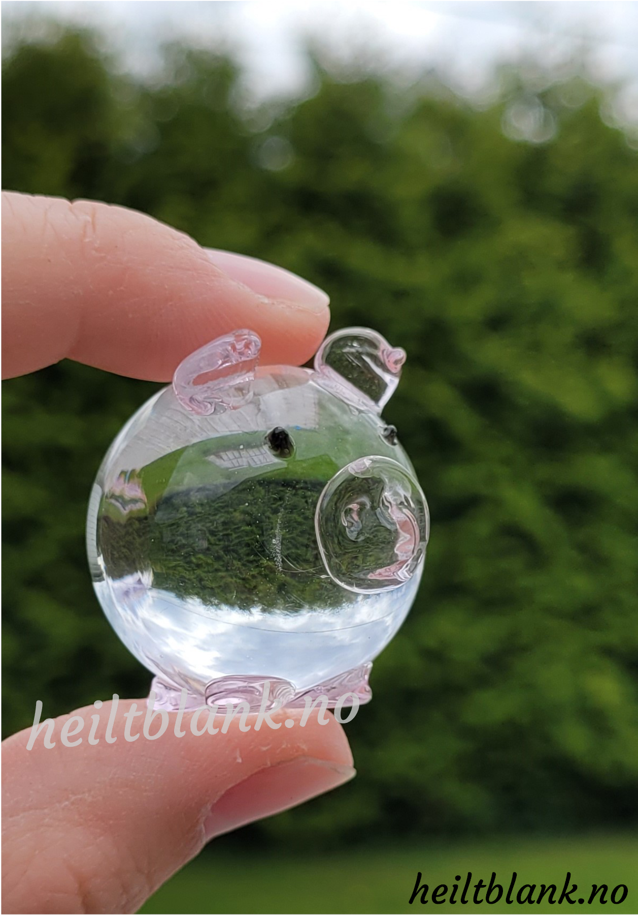 Gris - Glass