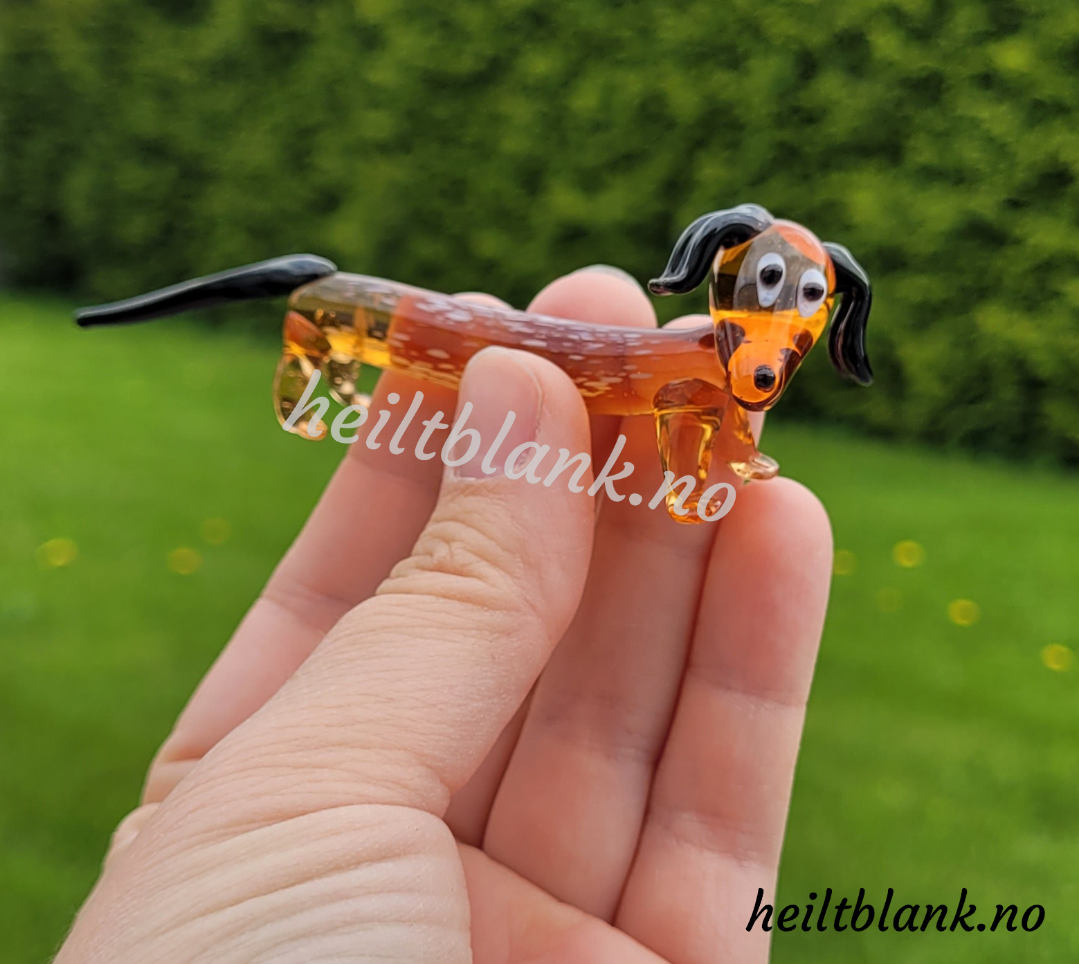 Brun dachshund - glass