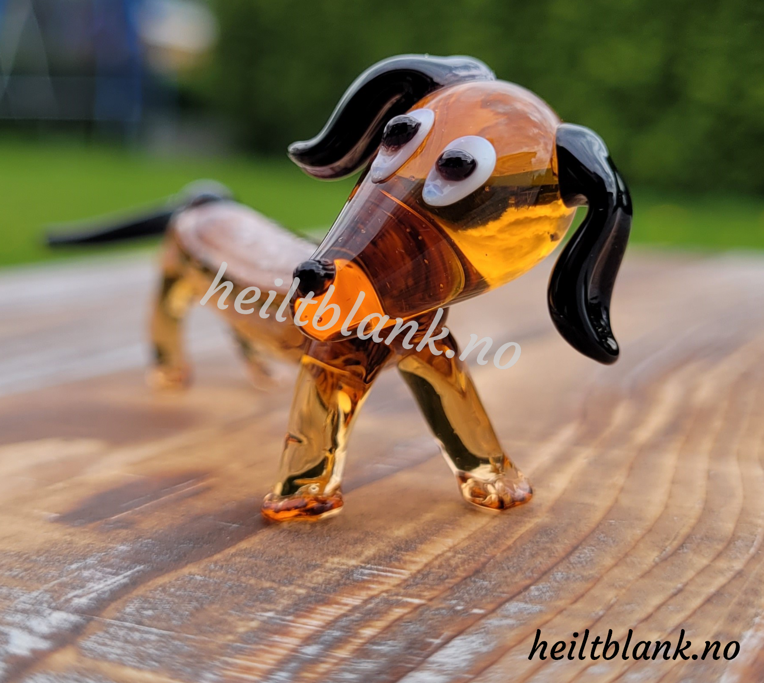 Brun dachshund - glass