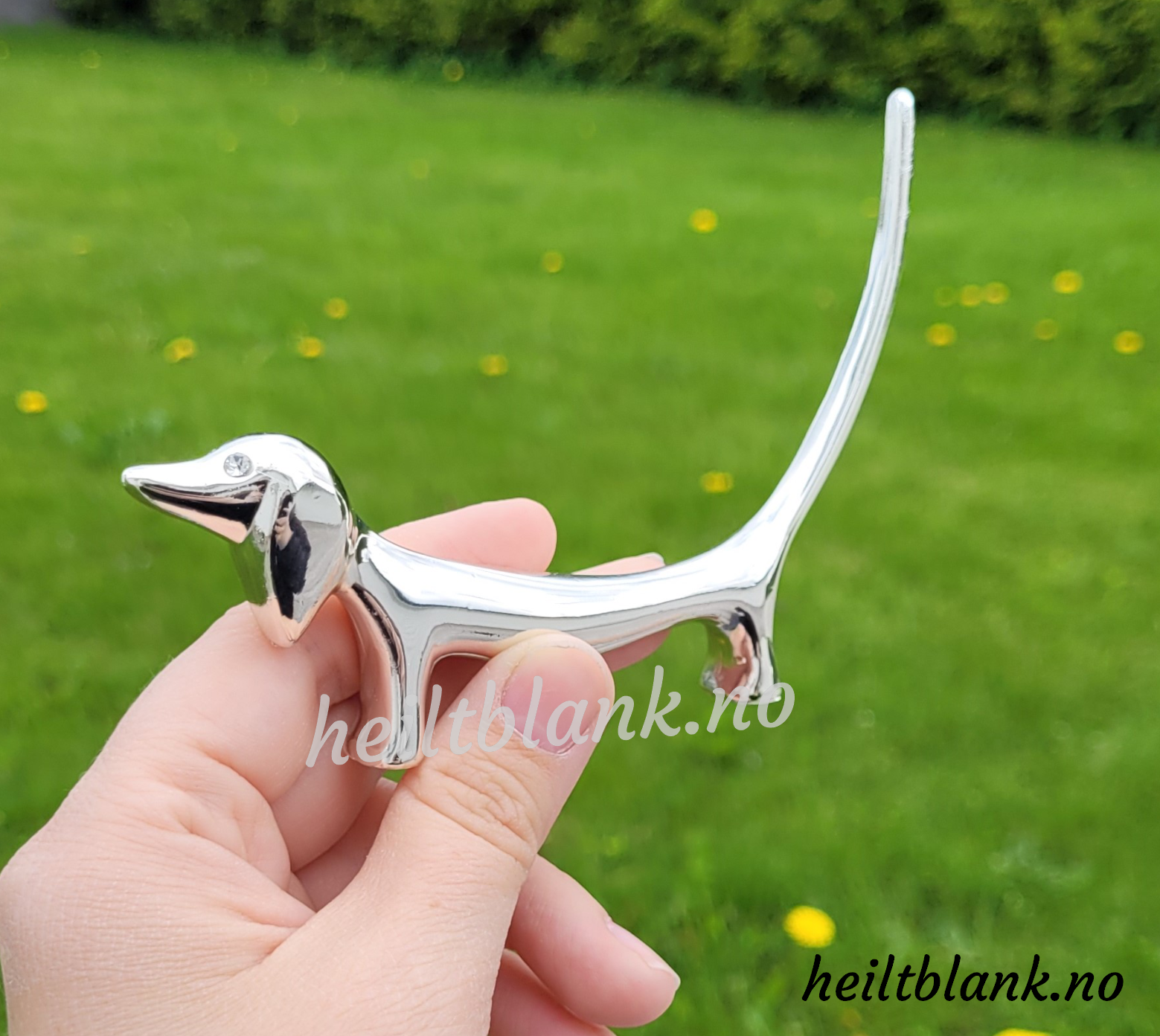 Ringholder Dachshund