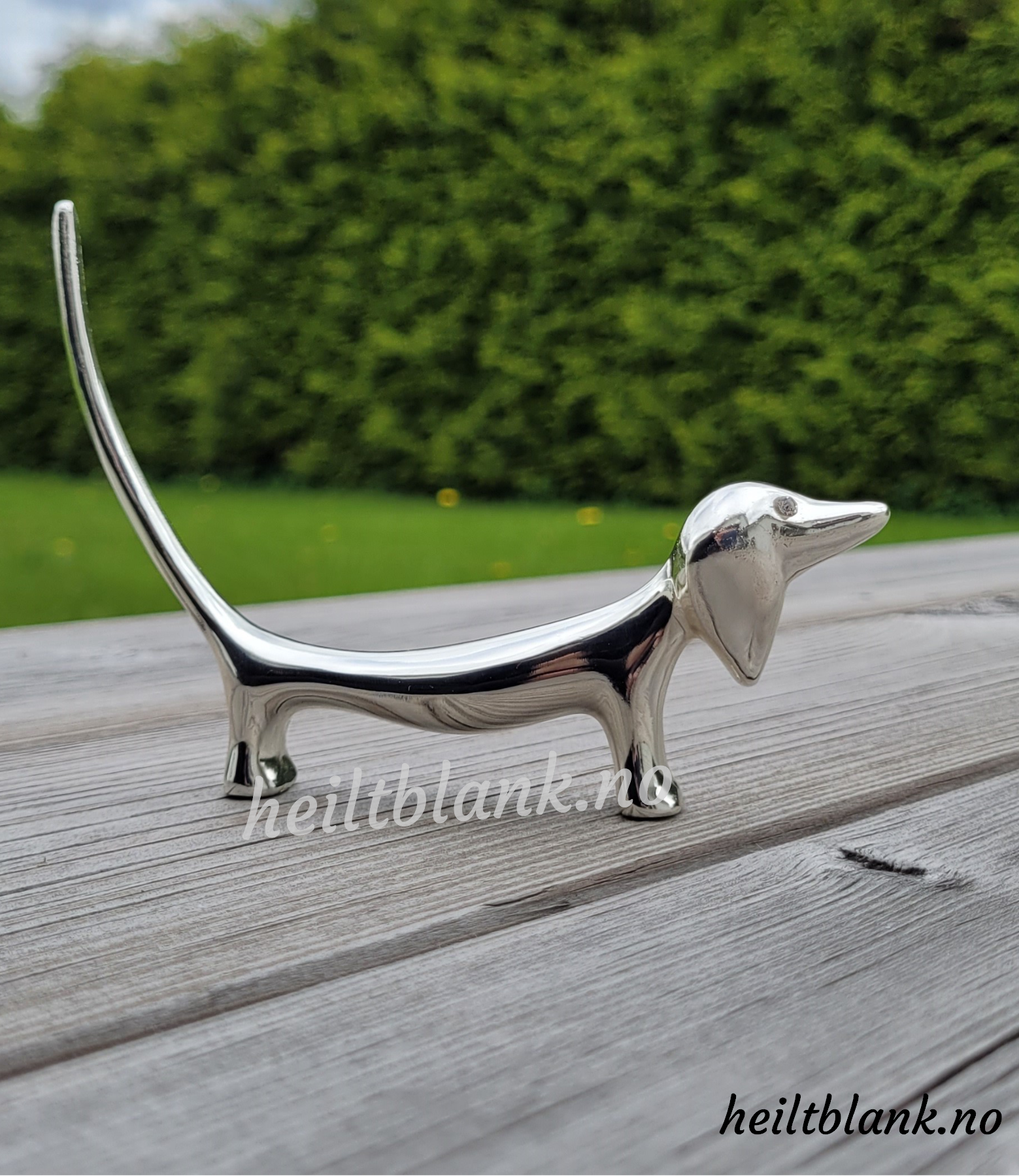 Ringholder Dachshund