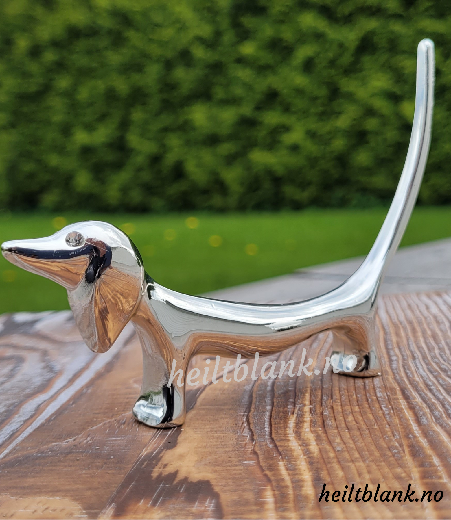 Ringholder Dachshund