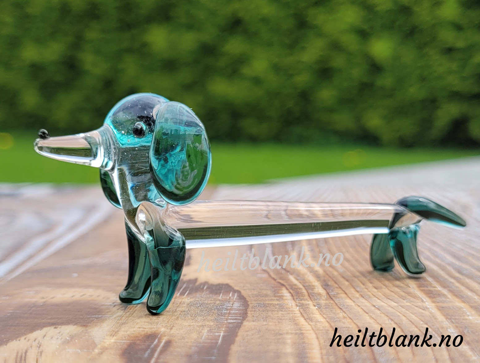 Blågrønn Dachshund - glass