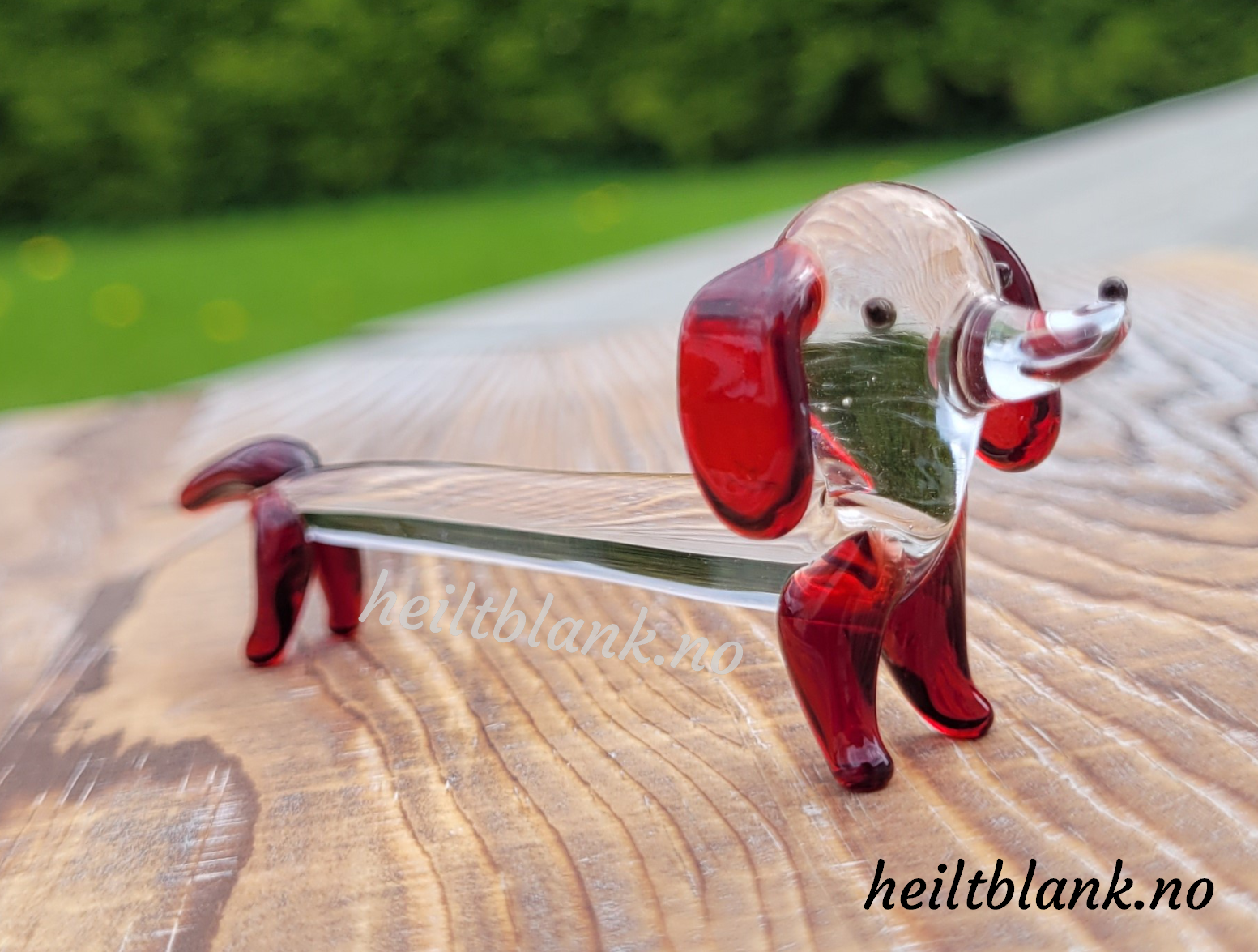 Rød Dachshund - glass