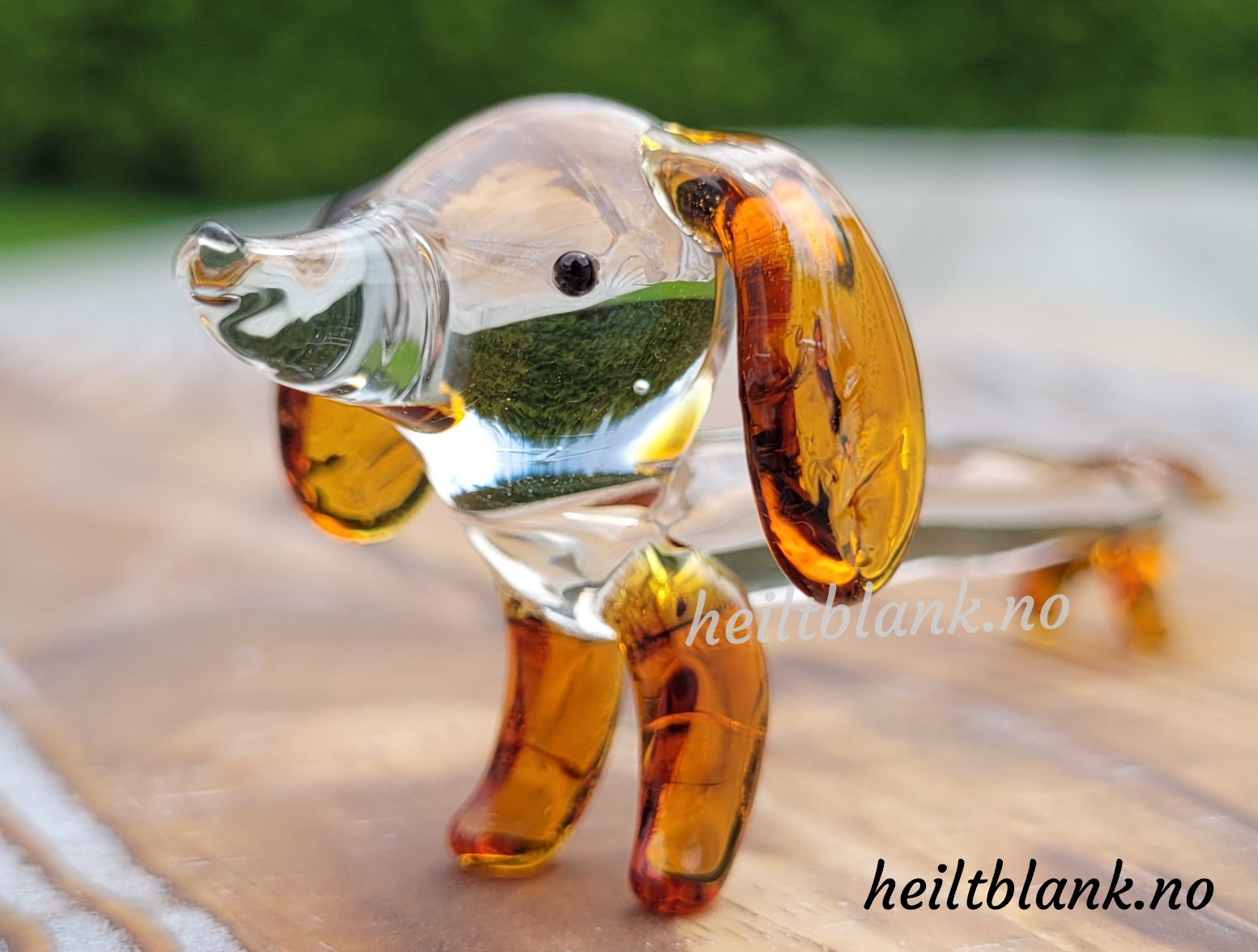 Oransje Dachshund - glass