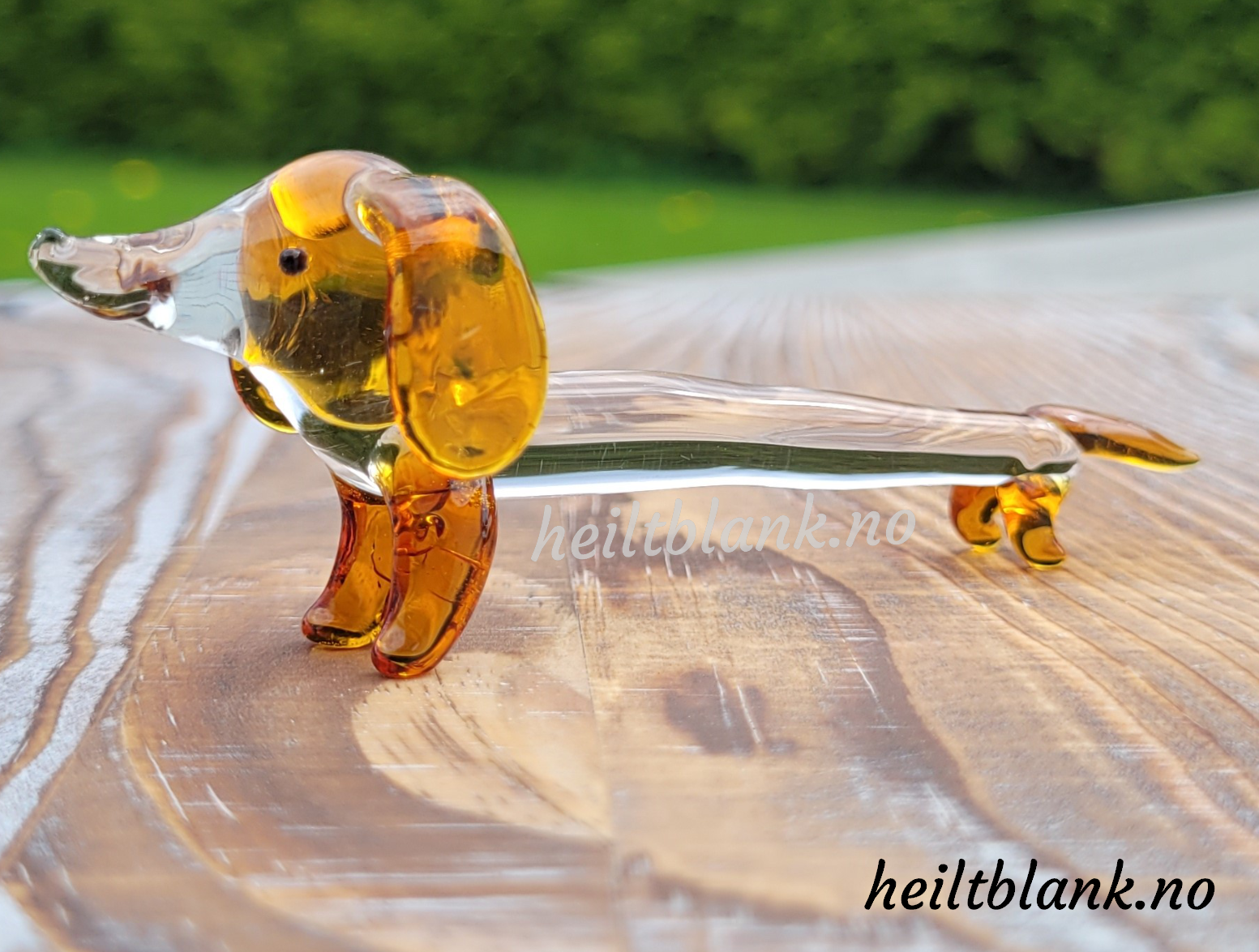 Oransje Dachshund - glass