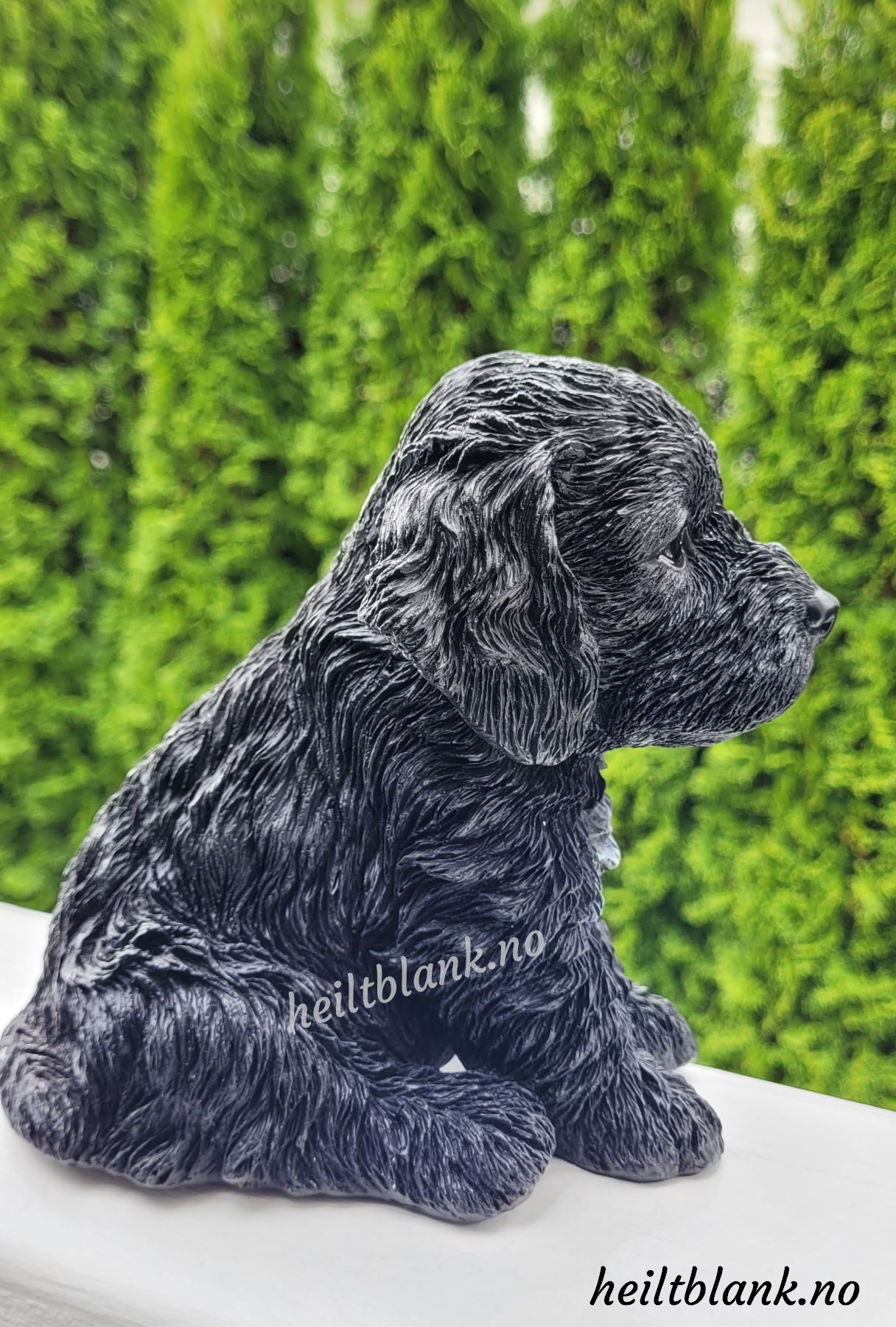 Cockapoo Valp