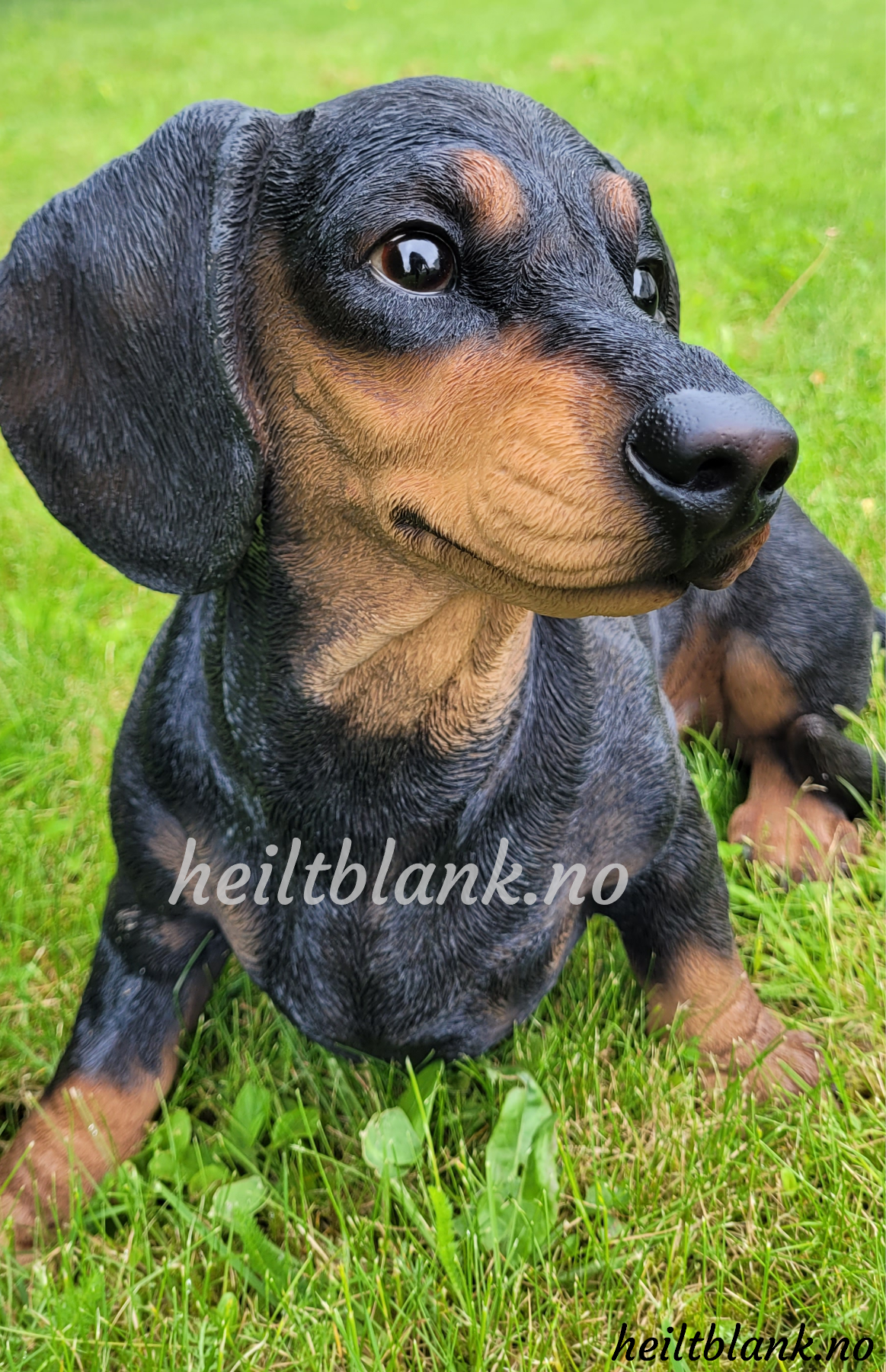 Stor dachshund figur