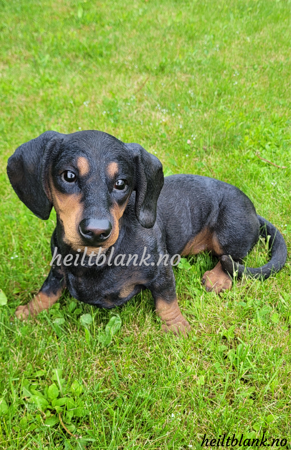Stor dachshund figur