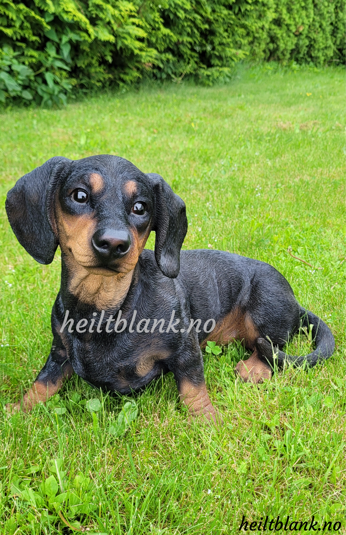Stor dachshund figur