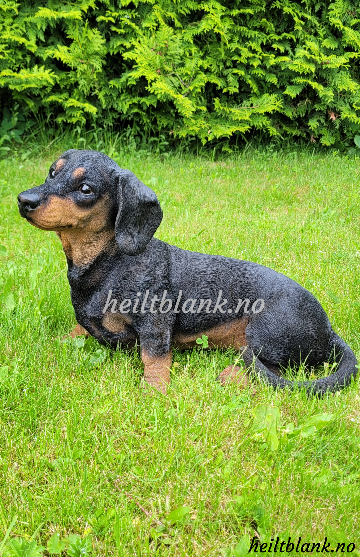 Stor dachshund figur