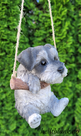 Schnauzer på huske