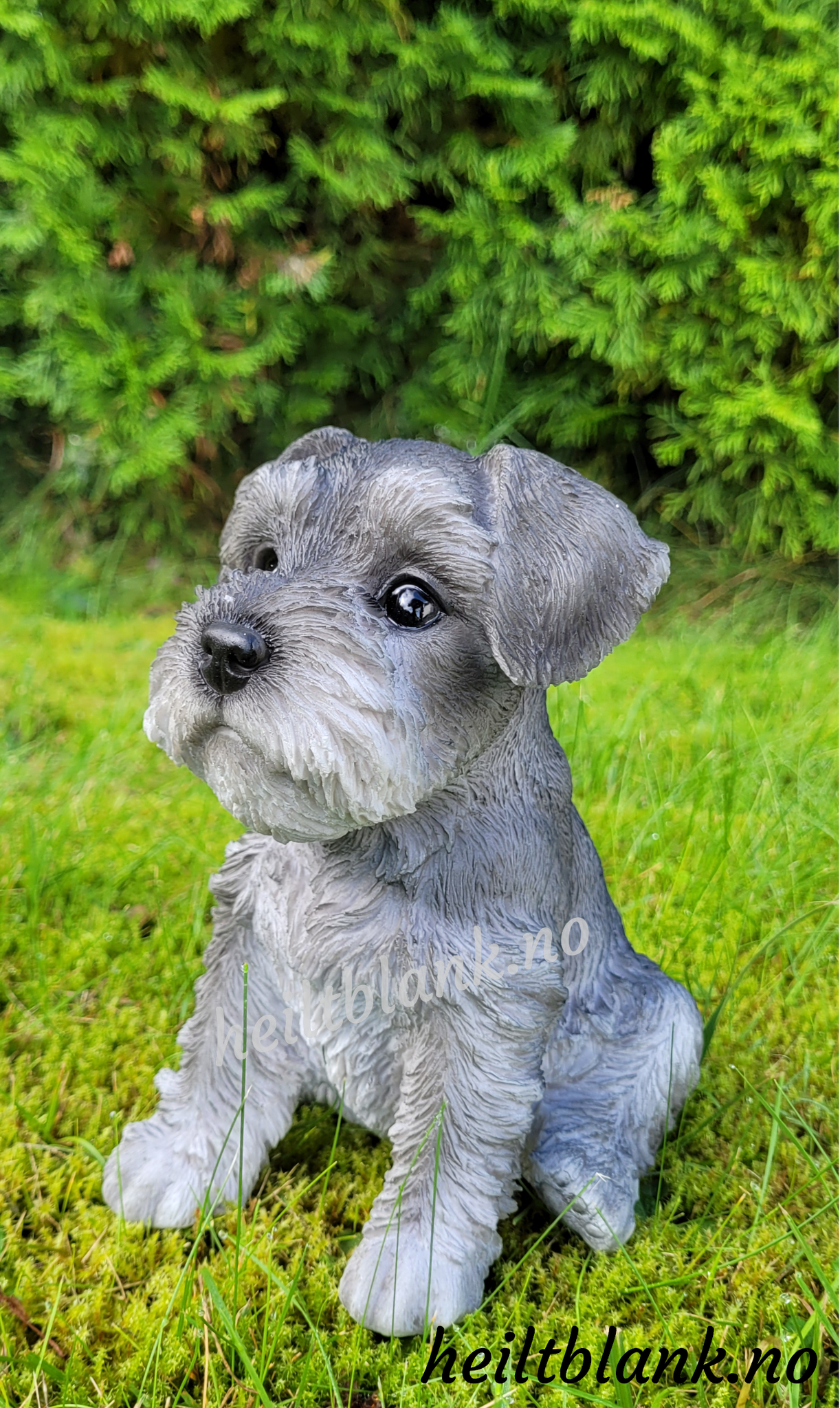 Schnauzer valp figur